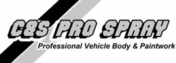 Pro logo1